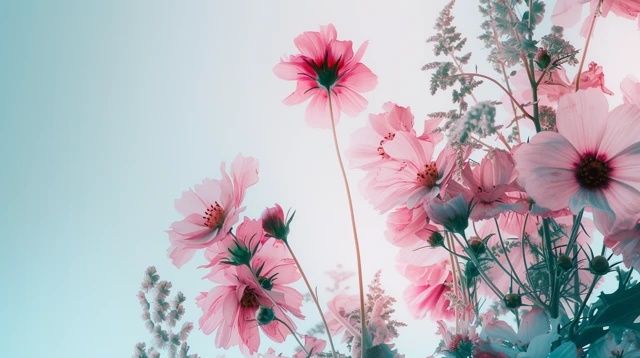 養(yǎng)好花的基本技巧和常識(shí)(如何養(yǎng)好花?)