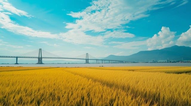 位于蘇浙皖交界的是宜興竹海和宜興太華竹海，溧陽只和安徽接壤//記錄工地搬磚的點