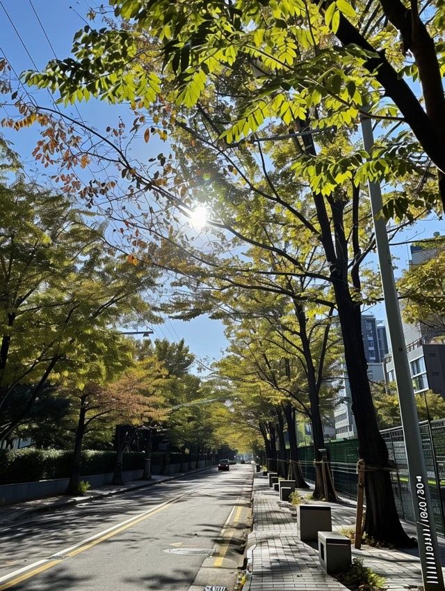 在多云轉晴的錦州，根據(jù)天氣無縫銜接安排行程~