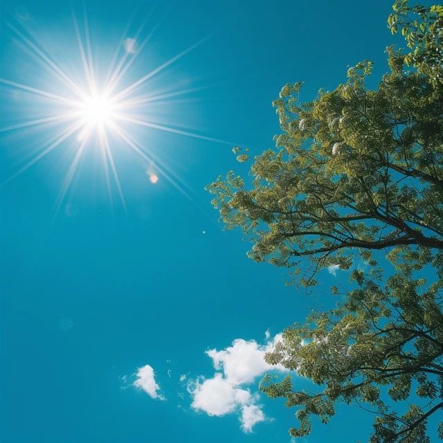 未來三天資陽天氣炎熱最高氣溫將達(dá)38℃！大家要注意防暑降溫哦~