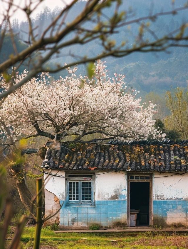寧波最in鄉(xiāng)村旅游打卡點(diǎn)出爐