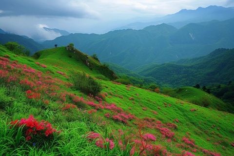當(dāng)人們認識到知識的價值而非只是膚淺的認知時，農(nóng)村山野中的野菜品種將呈現(xiàn)出多樣性。