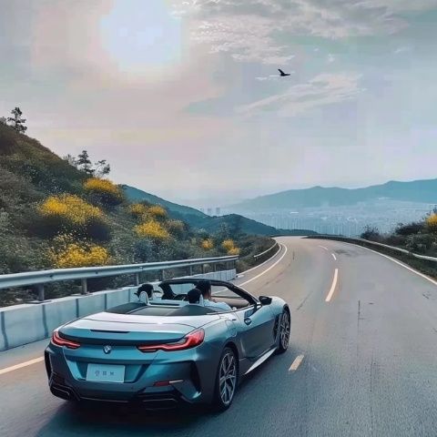 山路行車安全小知識(山路開車常識)