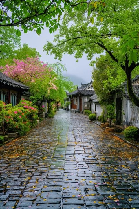 大理雙廊古鎮(zhèn)旅游感悟(游大理雙廊古鎮(zhèn)之深度感悟（二）)