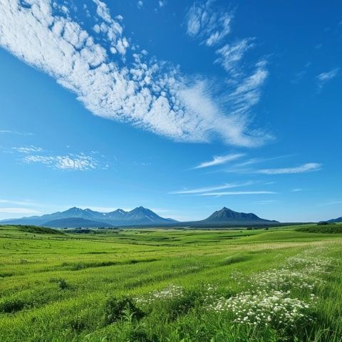 阜新彰武縣德力格爾草原景區(qū)(遼寧阜新彰武縣德力格爾草原景區(qū)飛吻)