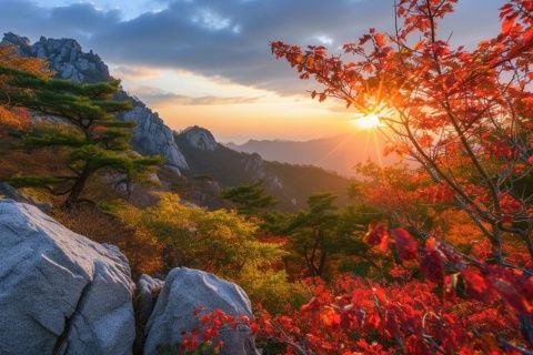 探索大連之魂：不可錯(cuò)過的旅順深度游記