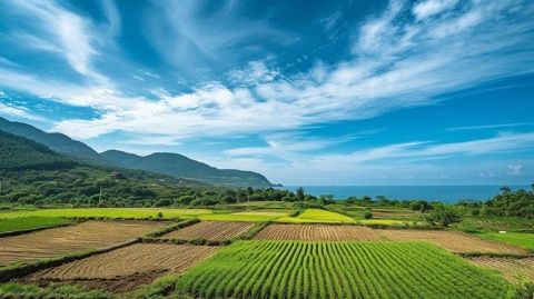 走進廣東肇慶懷集縣 美味之旅盡在此！