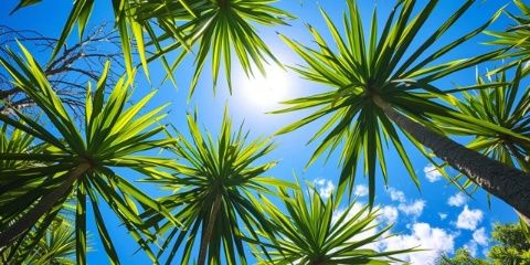 年假的第三天，雖然已經(jīng)立秋了，氣溫并沒有降下來，還是有36、37o的樣子