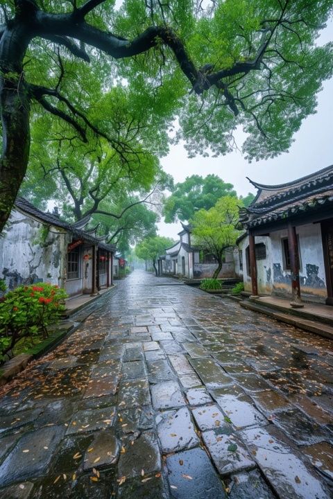 夏日廣南村的奇遇：支教還是豪華公益之旅？