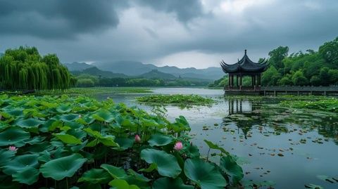 夏日荷塘：荷花盛開的視覺盛宴，探索其文化與生態(tài)價值
