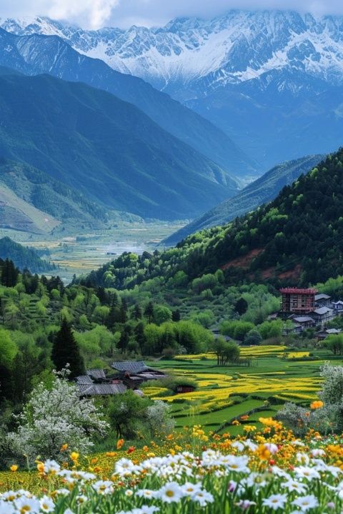 揭秘河南臺前縣的迷人風光與文化，一段未被發(fā)現(xiàn)的旅行寶藏地