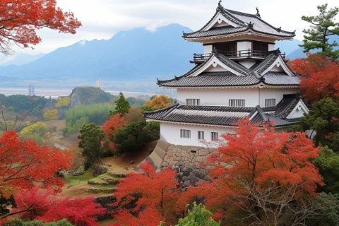 兩天一夜玩轉(zhuǎn)大阪城：歷史、美食和美景全攻略！