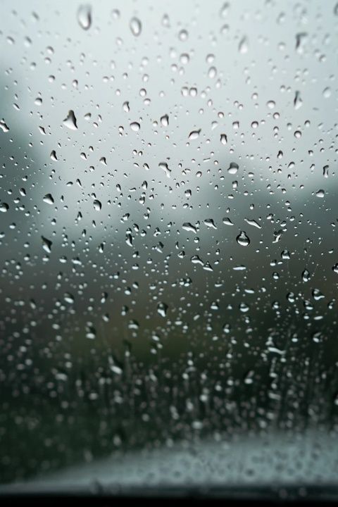 貴港1-3日暴雨來襲，高溫暫歇，注意防范