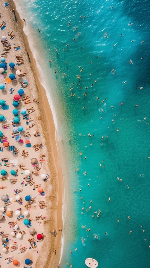夏日炎炎，旅游熱潮來襲