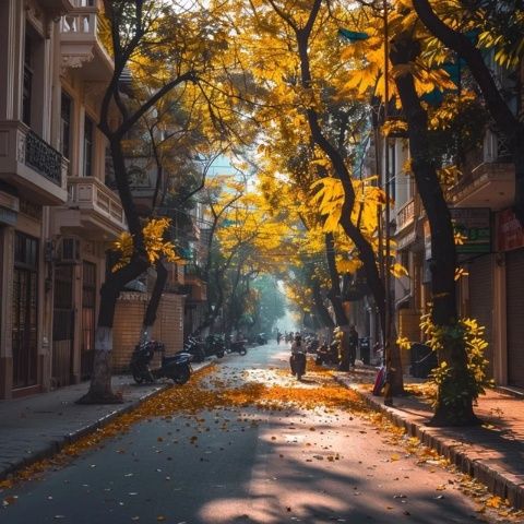 河內(nèi)繁榮超越南京？數(shù)據(jù)揭示驚人差距！