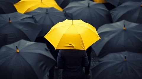 揭秘保險：必知的基礎(chǔ)知識與實用技巧