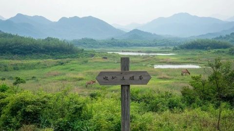 走進(jìn)青木川魏輔唐(走進(jìn)青木川2)