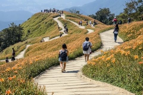 太平山頂必去打卡點香港旅行不迷路超詳細攻略來了