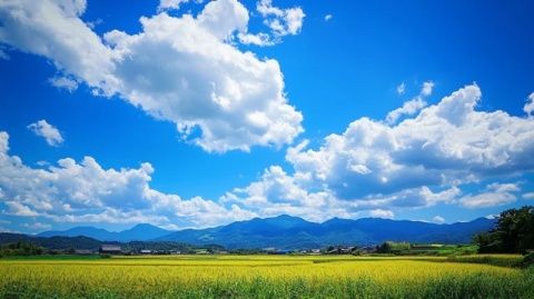 探秘云端仙境：馬家塢納吉云景，世外桃源般的鄉(xiāng)村之旅