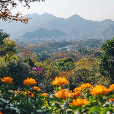 揚(yáng)州職大老虎山(揚(yáng)州名山之三—老虎山)