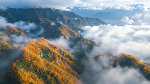 香爐山秋色：五彩斑斕，靜享自然之美