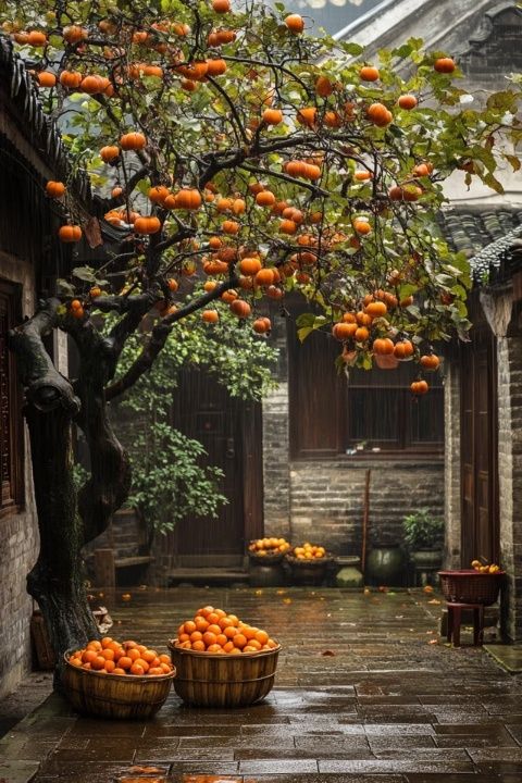 大圩古鎮(zhèn)：舌尖上的老桂林味道