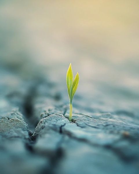 揭秘生活小細(xì)節(jié)：為何“屁股擦得干凈”成冷知識？