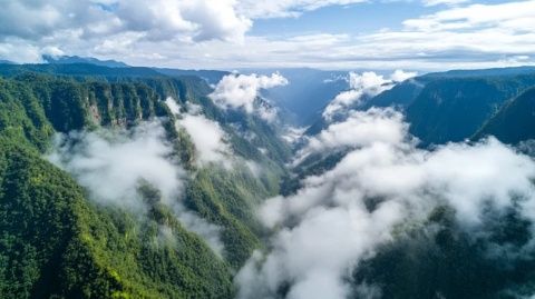 領(lǐng)略神農(nóng)架森林奇觀與文化底蘊(yùn)的交融之美