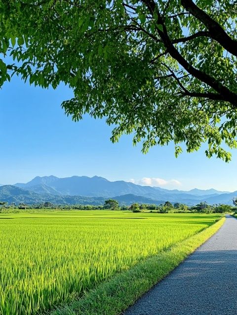 安吉景點(diǎn)大全：美到窒息的自然風(fēng)光和自由活動空間！