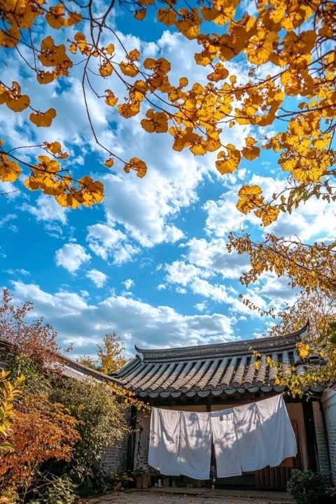 濃濃的暑假氣息！南潯古鎮(zhèn)、烏鎮(zhèn)和西柵，浙江這幾個(gè)熱門小鎮(zhèn)你都去過嗎？
