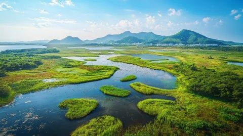 揭秘七臺(tái)河：黑龍江省的綠色明珠，自然與人文的完美交融