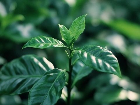 生活中的實(shí)用小貼士：培養(yǎng)受益終生的習(xí)慣第一課