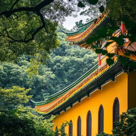 最新最全的普陀山旅游實(shí)用攻略來啦！