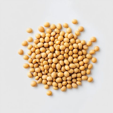 這些關(guān)于大豆的知識你了解嗎(大豆常識)