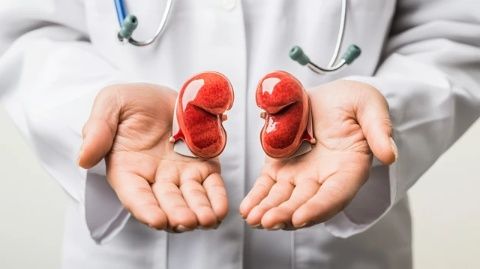 10條必備的腎病知識(shí):了解慢性腎臟健康要點(diǎn)