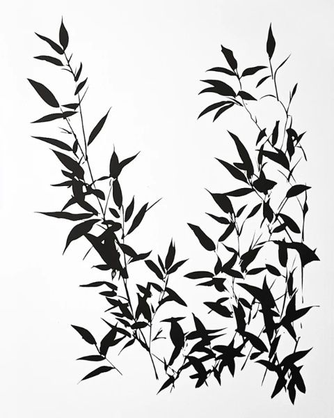 探索毛邊紙的竹韻雅致:中國古代文化中的書寫藝術(shù)與現(xiàn)代應(yīng)用的選擇之道