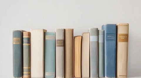 這些經(jīng)典的文學(xué)知識(經(jīng)典文章的文學(xué)常識是什么)