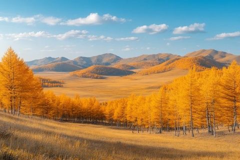 2025年親子探秘之旅：南疆風(fēng)光與文化傳承，讓孩子在大美自然中成長！