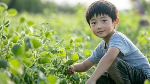 周五接弟妹發(fā)現(xiàn)草莓上市，價格八元一斤，新鮮土豆成新菜式