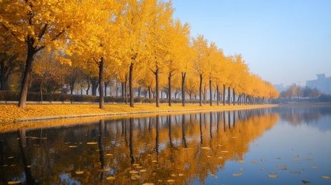 周末自駕游攻略:臨朐石門坊紅葉美景一日游