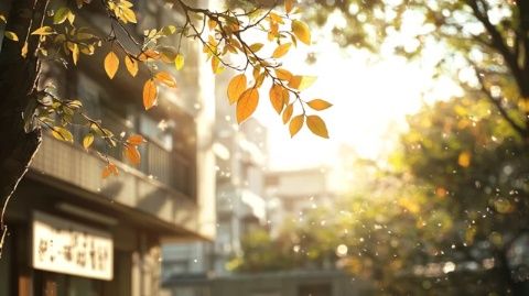 白日如夏晚來秋，炎熱與涼爽共存