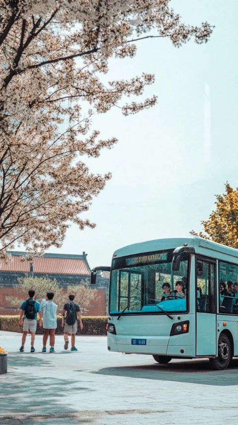 在衡水的一天，我乘坐公交前往了市區(qū)，打算在這里尋找一些小生意或者工作機(jī)會(huì),下午