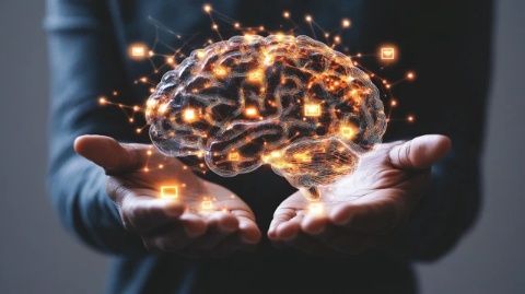 「智能推薦的陷阱：如何跳出信息舒適圈，重燃現(xiàn)實(shí)生活熱情」