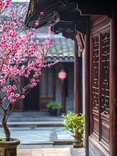 即墨古城春景絢爛！花卉盛開位置及最佳觀賞時間一覽