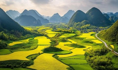 四月天最美景色，槐花飄香滿人間