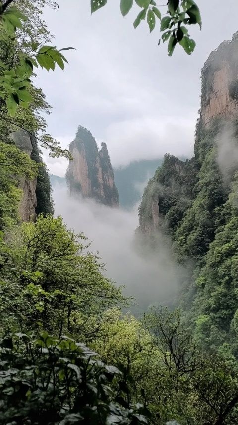 太行山腹地秘寶——阜平八大碗香氣四溢，吸引八方食客品味古早美味
