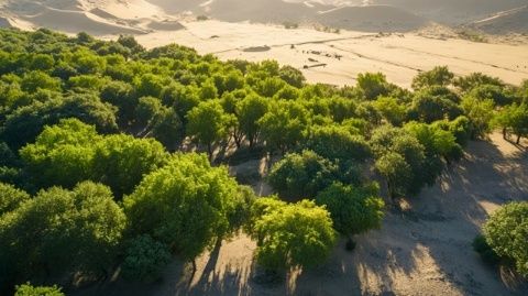 博爾塔拉河畔綠意濃：新疆首個(gè)自治區(qū)級(jí)水利風(fēng)景區(qū)落戶博樂(lè)市，打造生態(tài)旅游新地標(biāo)