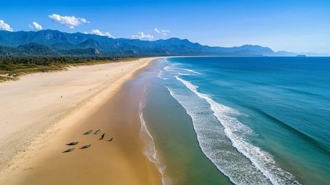 地球最后的凈土：探索新西蘭的獨特魅力與自然風光