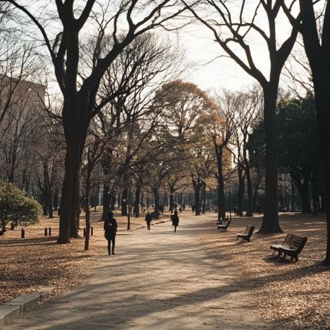 今天在地鐵里遇到兩位來(lái)沈陽(yáng)美國(guó)大使館辦理業(yè)務(wù)的山東小姐姐，聽(tīng)他們倆一路夸沈陽(yáng)