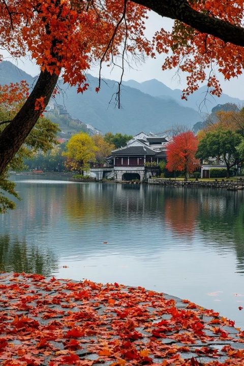 秋季玄武湖畔雞鳴寺，美景令人淚目